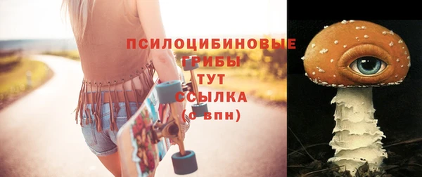 гидропоника Киренск